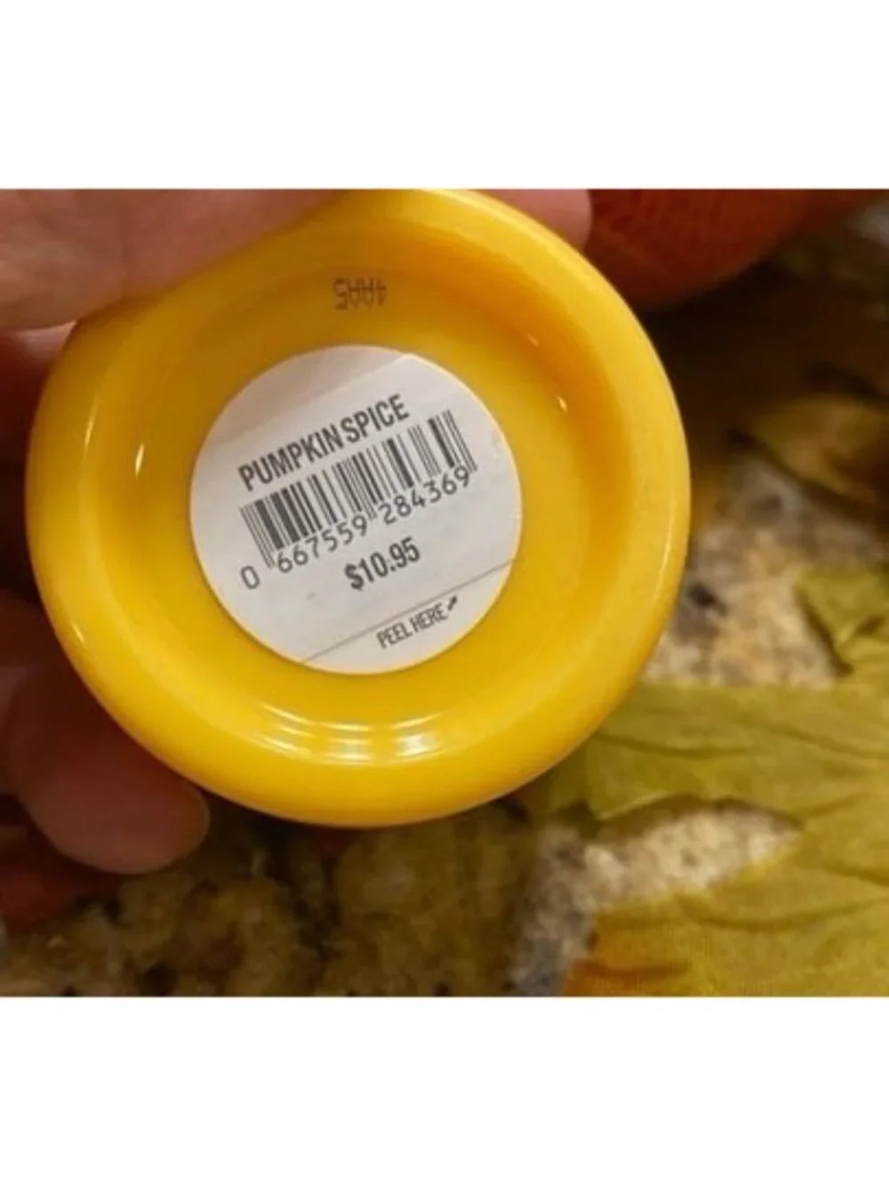 Bath & Body Works PUMPKIN SPICE Lip Care NEW 2 Pc Set